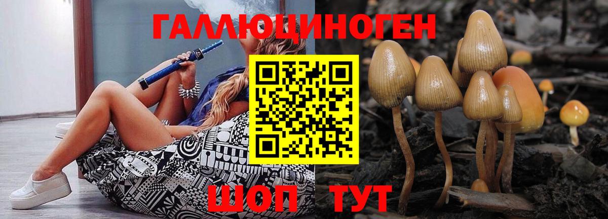 Псилоцибиновые грибы Magic Shrooms  Вход с VPN  Галлюциногенные грибы Cubensis  Электросталь 